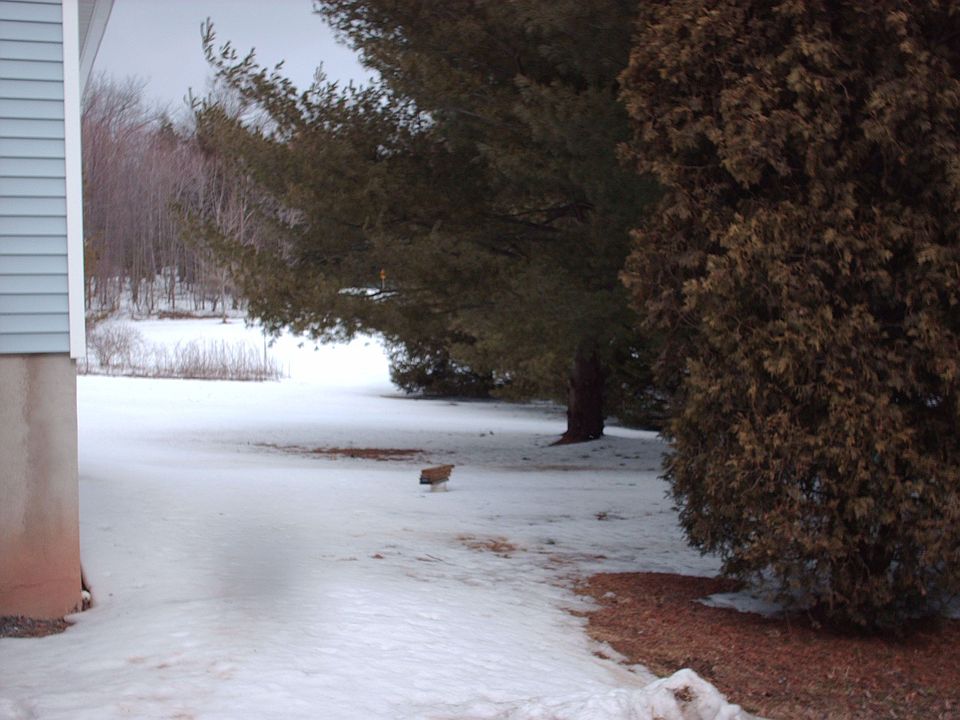 2nd image of 114 Ash Ln