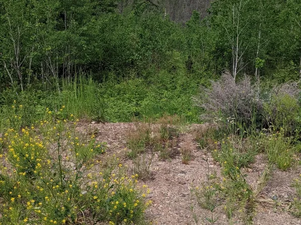 4902 Palm Dr, Gilbert, MN 55741