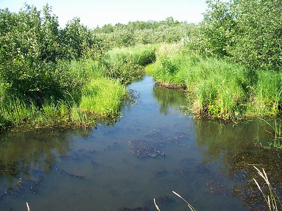 Beautiful, peaceful.....