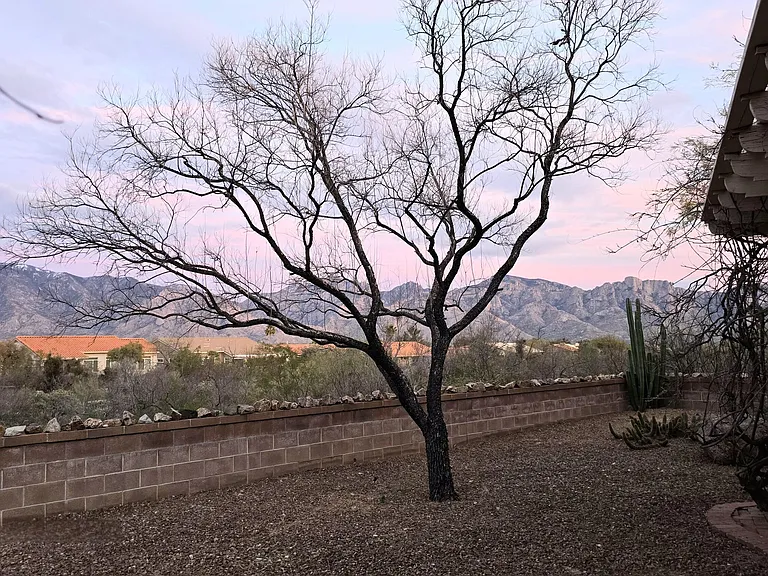 14770 N Windshade Dr — Photo 27