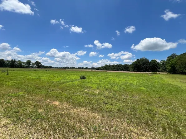14 & 15 Nash Landing Ln, Counce, TN 38326