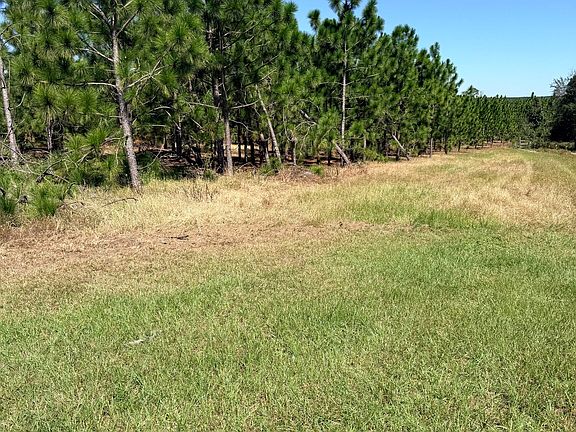 3rd image of 0 Altamaha Rd