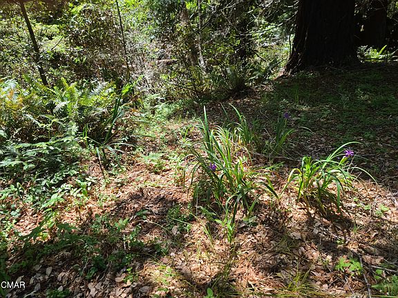 2nd image of 32921 Sutliff Ln