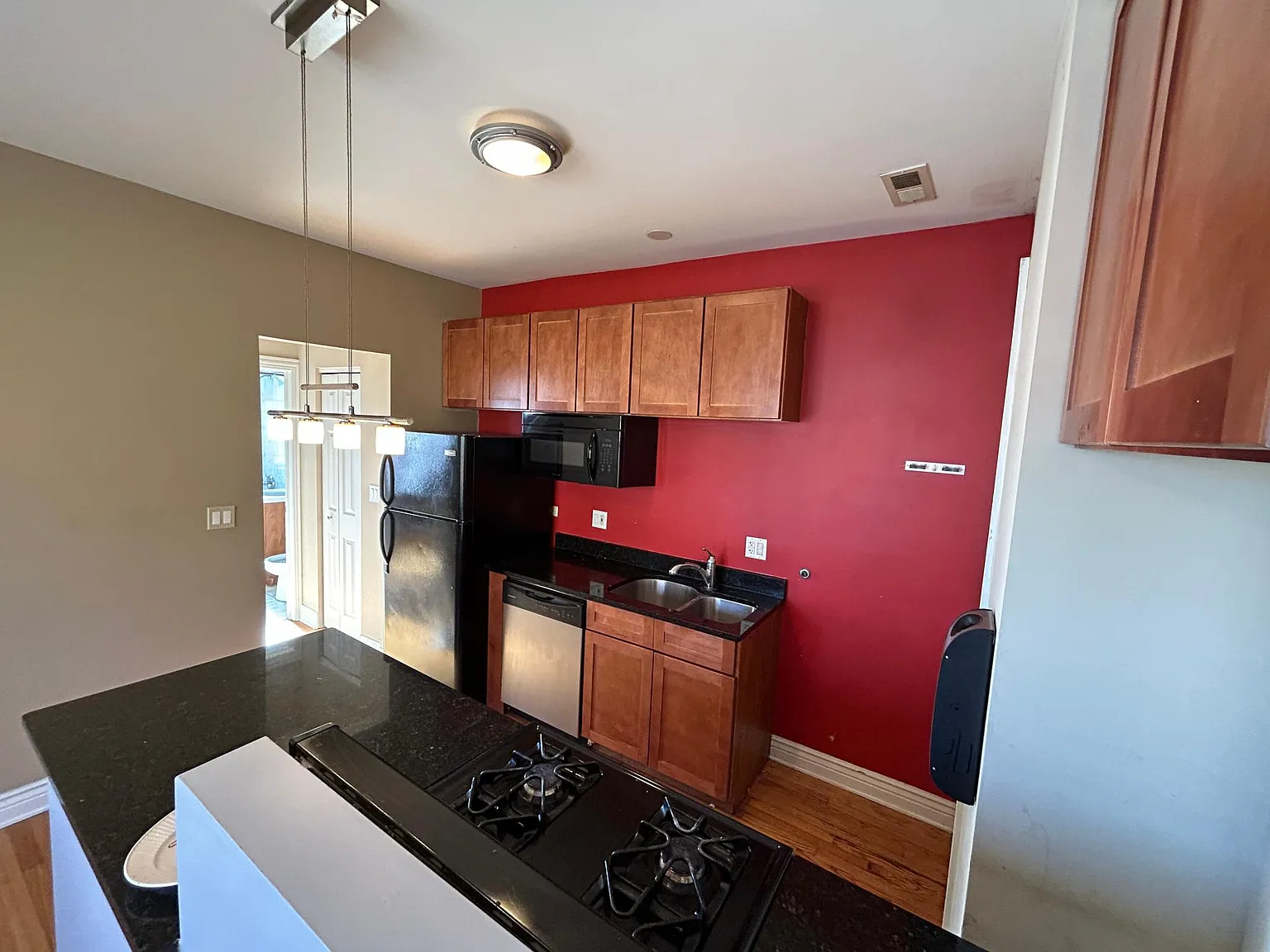 1 bed, 950 sqft, $1,250 — Photo 4