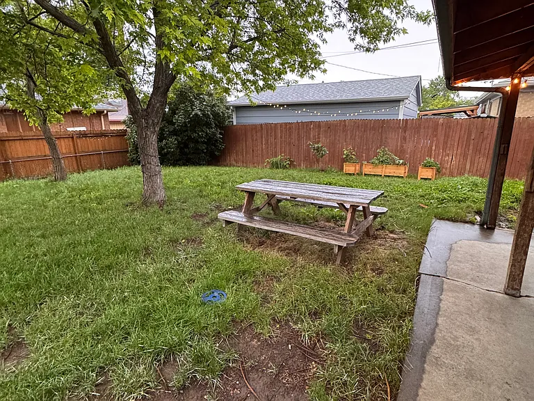 garden with herbs