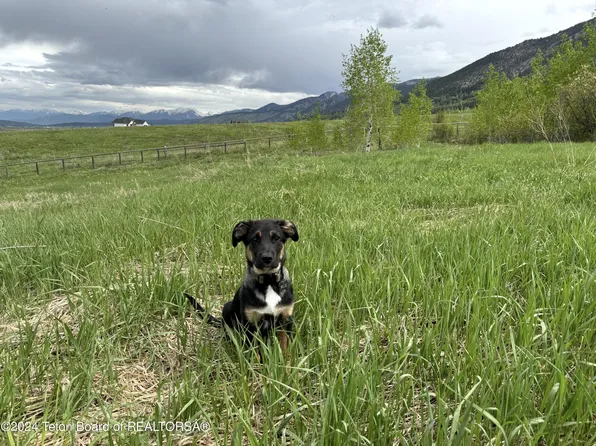 LOT 39 Roberts Rd, Etna, WY 83118