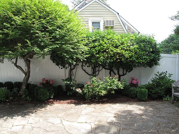 Dining Room Garden