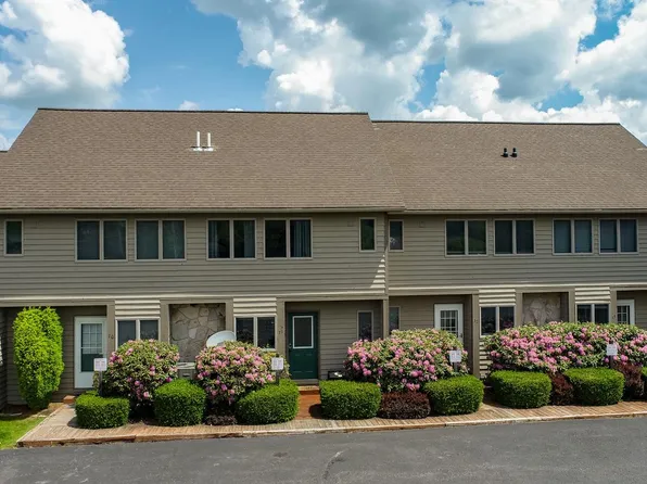 257 Marsh Hill Rd #11, Mc Henry, MD 21541