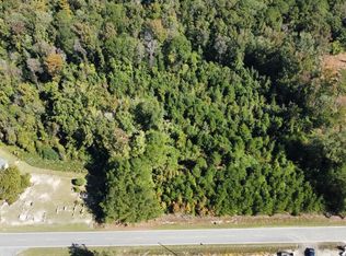 Pauley Swamp Rd, Conway, SC 29527