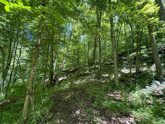 Long Hollow Rd 4
