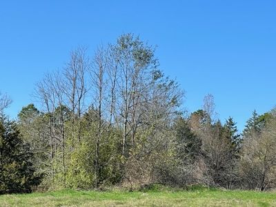 2032 State Highway 338, Naples, TX, 75568
