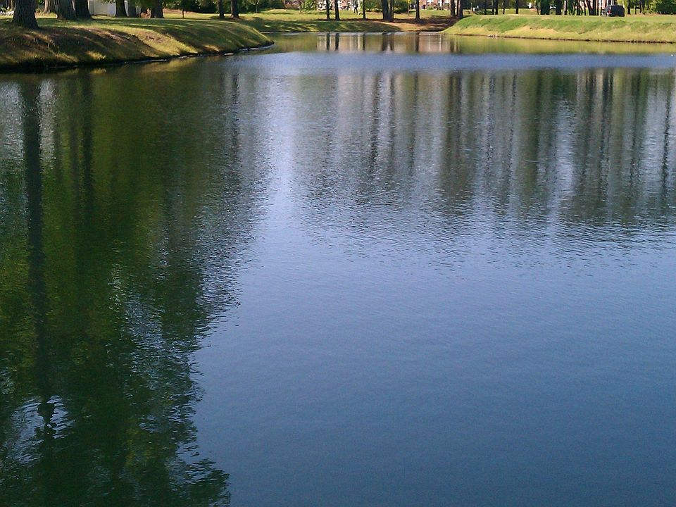 The pond in your backyard!