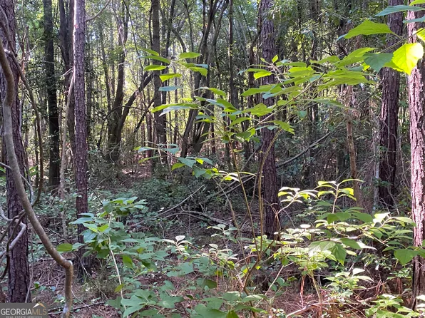 40-41 Pebble Hills Rd, Cochran, GA 31014