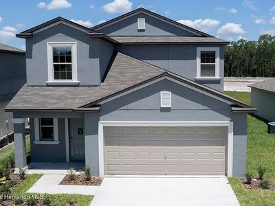 111 Rain Lily Ave, Spring Hill, FL, 34609