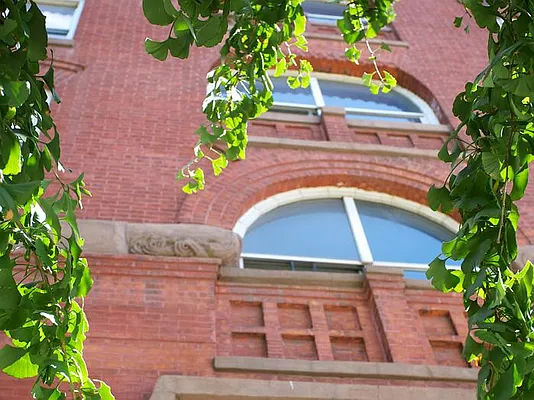 Rented by Mirador Real Estate | media 24