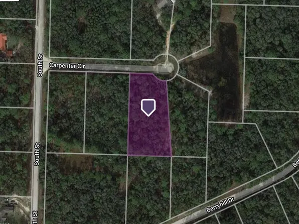 34192 CARPENTER CIRCLE, WEBSTER, FL 33597