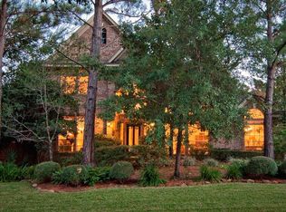 11 Wistful Vista Pl, Spring, TX 77382