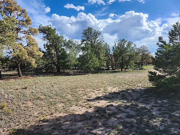 3rd image of 15 Cattle Track Dr