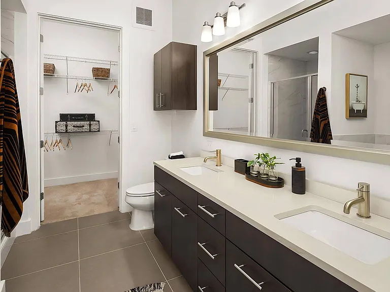 Double Sink Bathroom with Modern Cabinetry and Attached Walk-In Closet