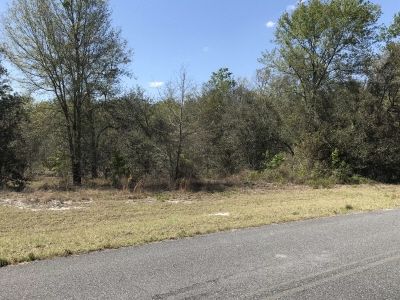 Tbd 73rd Ln, Live Oak, FL, 32060