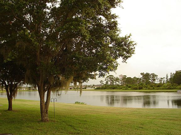 Backyard and water view