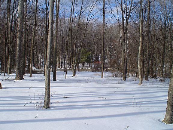 View to front