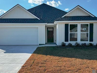 25046 Berry Ridge Ln, Springfield, LA, 70462