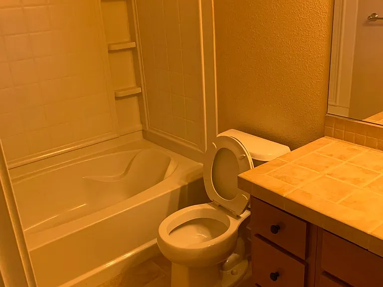 Guest bath