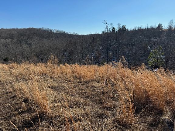 4th image of 169 Twin Pines Rd Lot 2