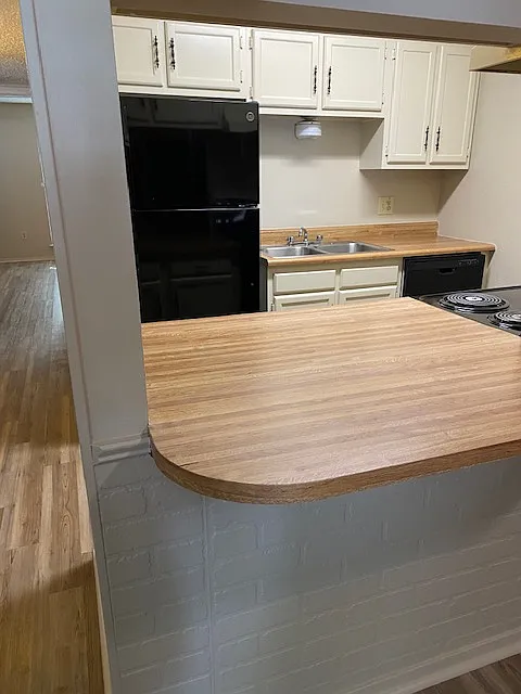 2 bed, 1100 sqft, $1,100 — Photo 4
