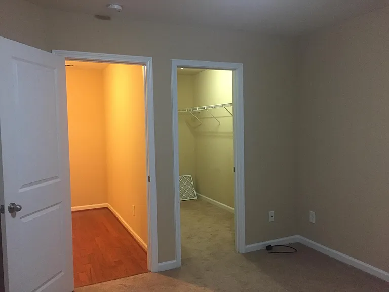 Lower level bedroom with walk-in closet