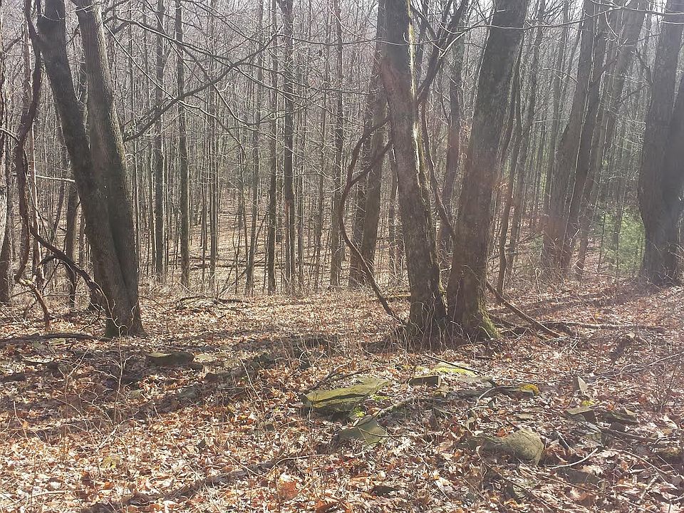 2nd image of 39 Acre Wooded #Bradford