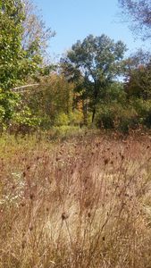227 S Hughes Rd, Howell, MI, 48843