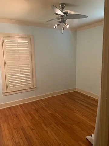 228 Schleicher St — Photo 8