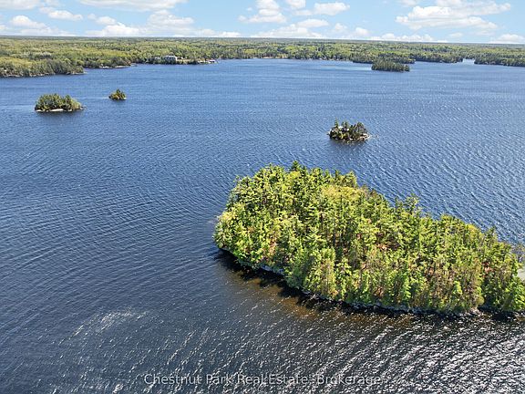 5th image of 1 Island #20ML
