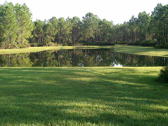 Private Backyard Pond