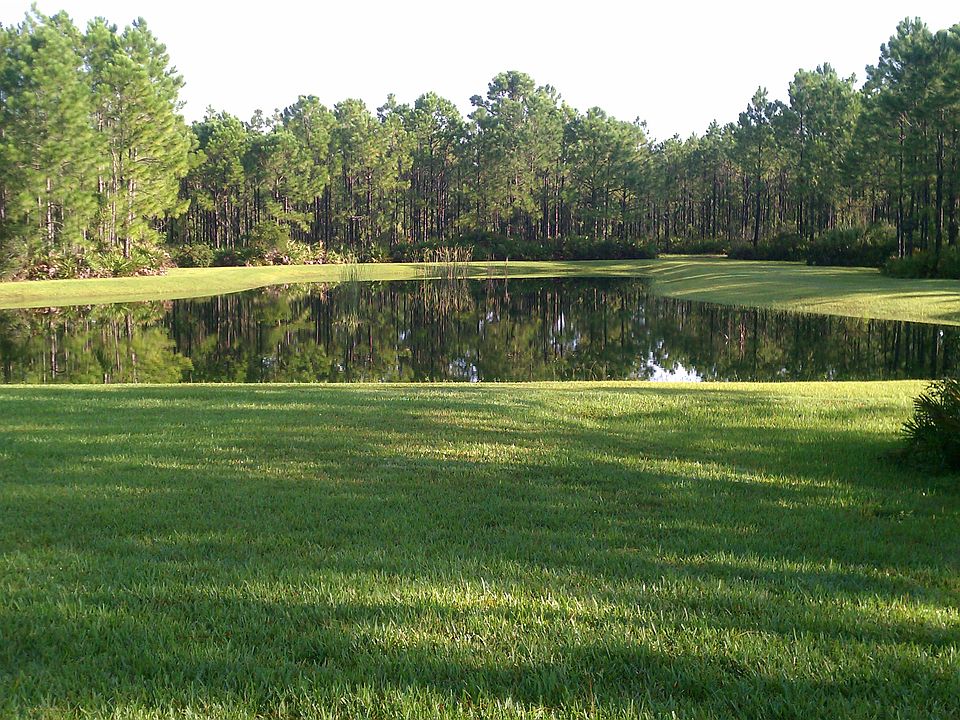 Private Backyard Pond