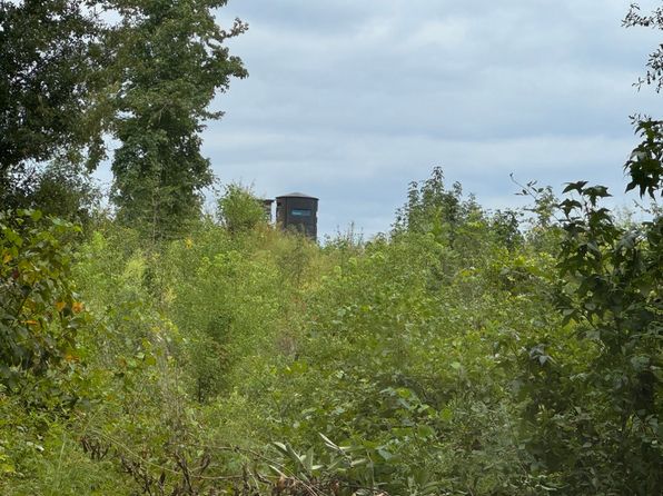 Highway 4 LOT WP003, Grayson, LA 71435