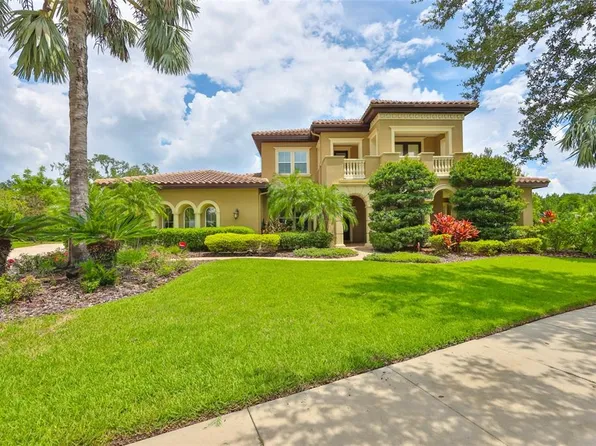 16423 Chapman Crossing Dr, Lithia, FL 33547