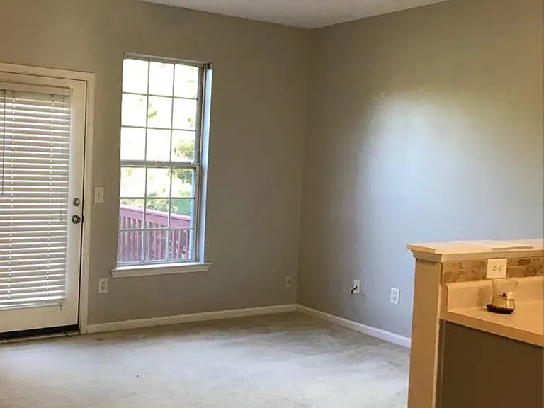 3266 Mill Springs Cir — Photo 5