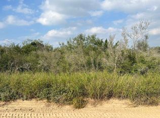 105 Dolores Rd, San Ygnacio, TX 78067