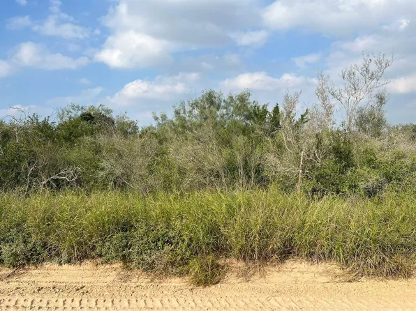 105 Dolores Rd, San Ygnacio, TX 78067