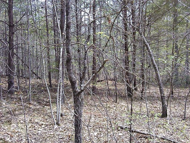 1st image of 8202 E Fork Ln