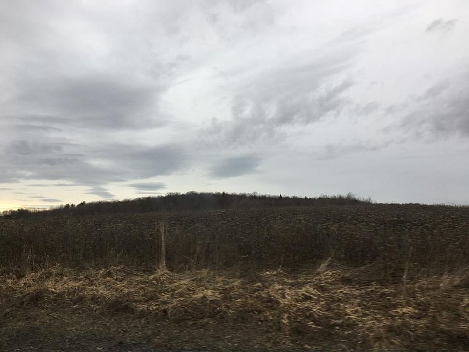 2nd image of 20 Hamilton Rd
