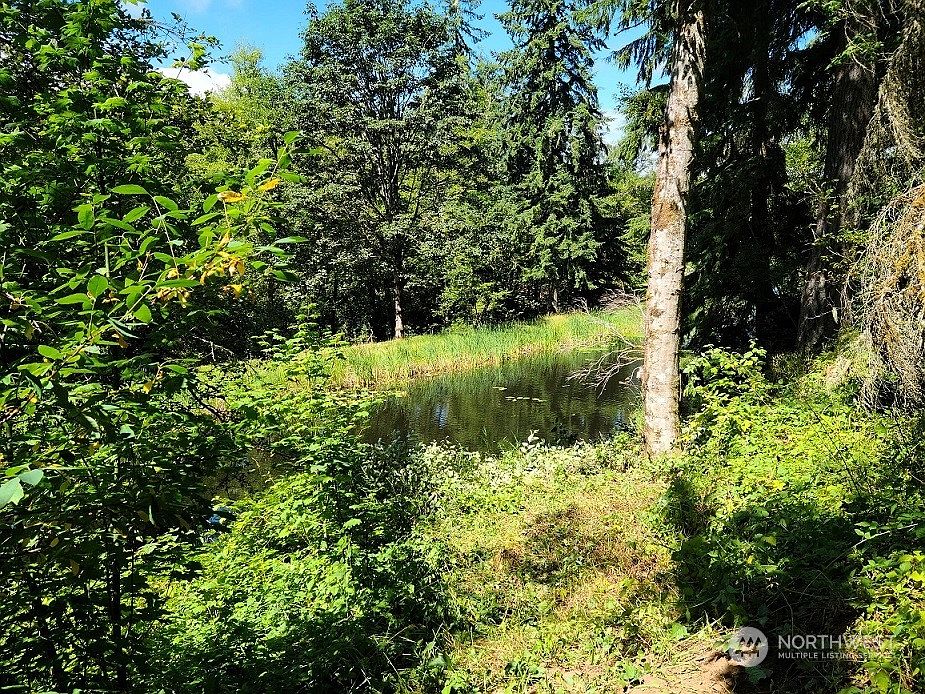 2nd image of 23904 Lot 7 E Lake Kayak Drive