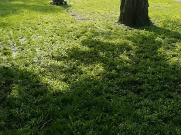 1237 Wefel St, Fort Wayne, IN 46808