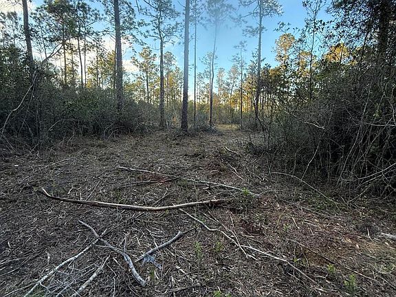 5th image of 13816 Forts Lake Rd