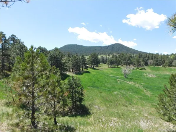 1100 Silverheels Drive LOT 4, Larkspur, CO 80118