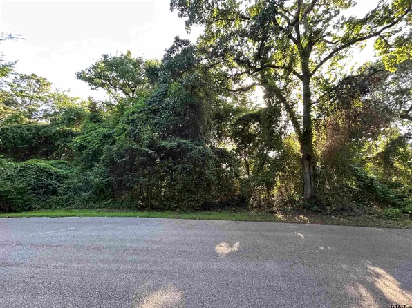 0 Lookout Lake Cir, Flint, TX 75762