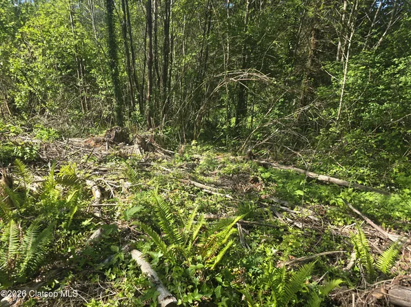 0 Bear Rd, Seaside, OR 97138